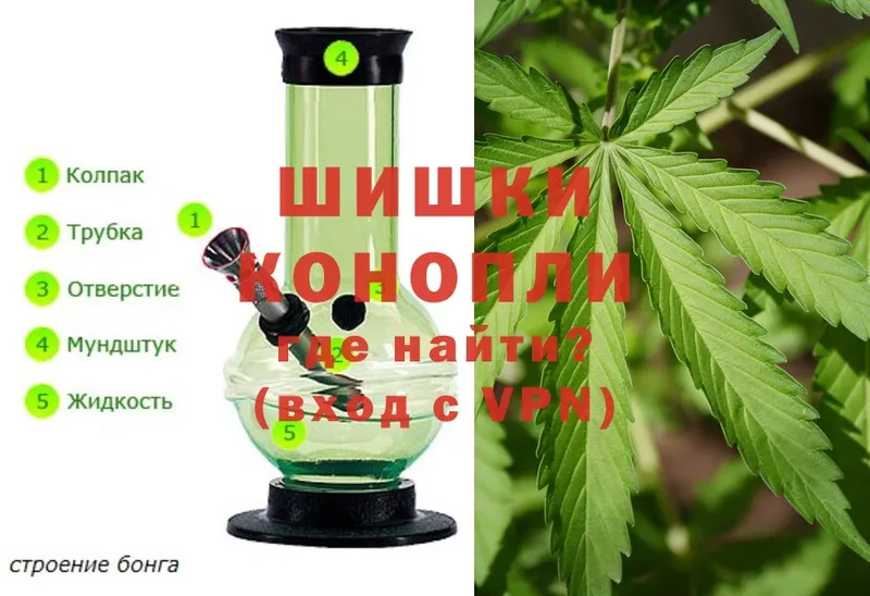 Бошки марихуана Bruce Banner  где купить наркоту  Порхов 